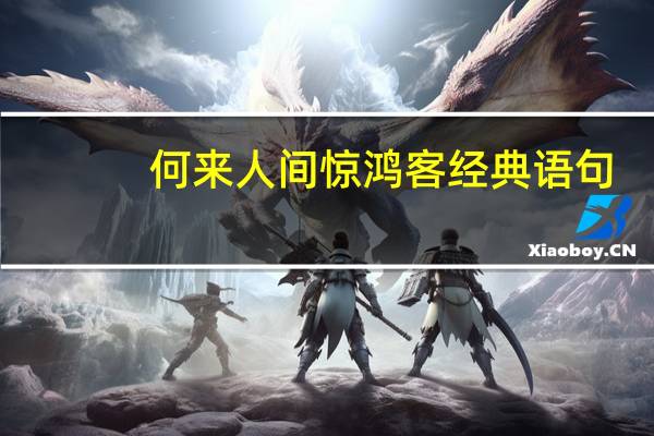 何来人间惊鸿客经典语句