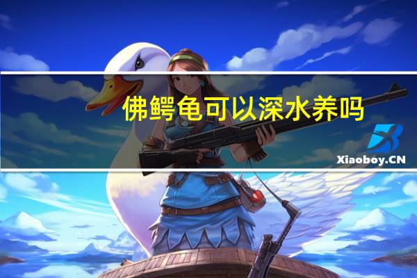 佛鳄龟可以深水养吗
