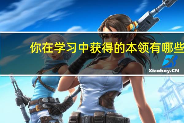 你在学习中获得的本领有哪些