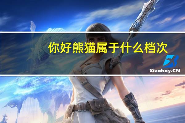 你好熊猫属于什么档次