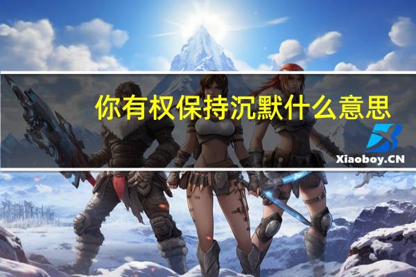 你有权保持沉默什么意思