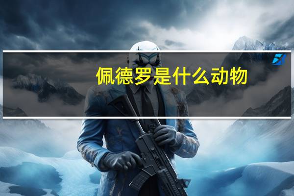 佩德罗是什么动物