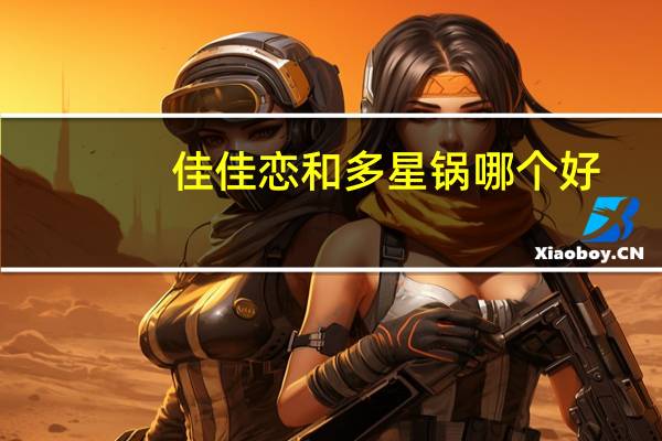 佳佳恋和多星锅哪个好