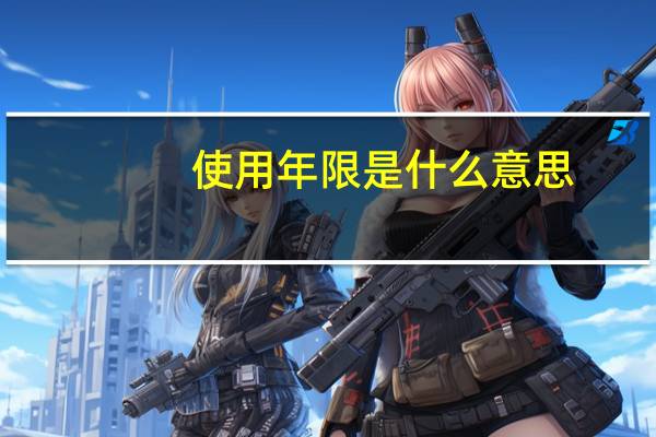 使用年限是什么意思