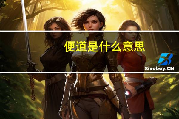 便道是什么意思