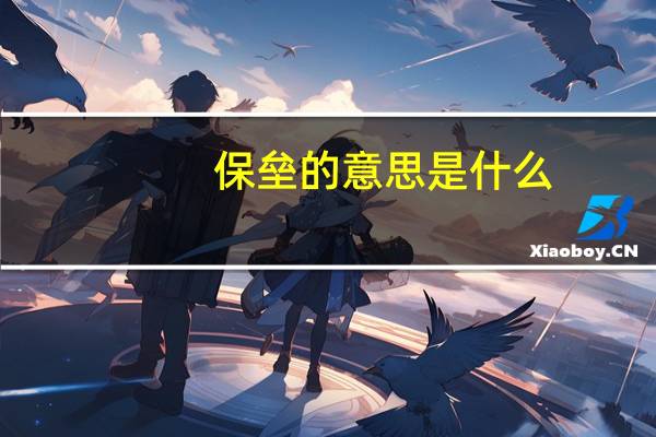 保垒的意思是什么