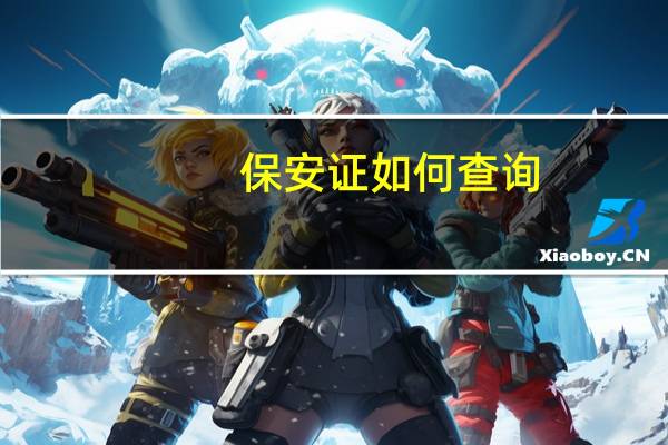 保安证如何查询