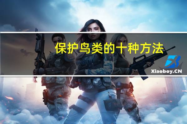 保护鸟类的十种方法