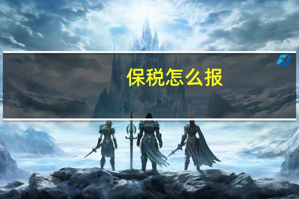 保税怎么报