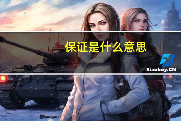 保证是什么意思