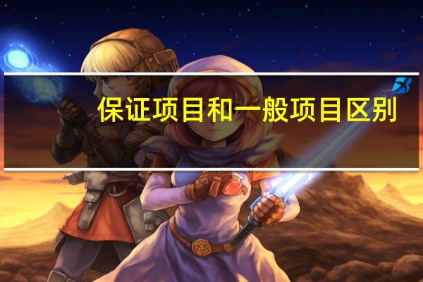 保证项目和一般项目区别