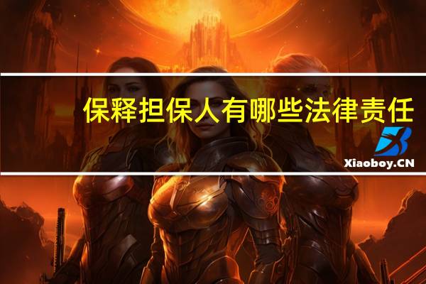 保释担保人有哪些法律责任