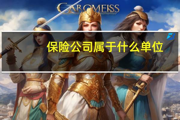 保险公司属于什么单位