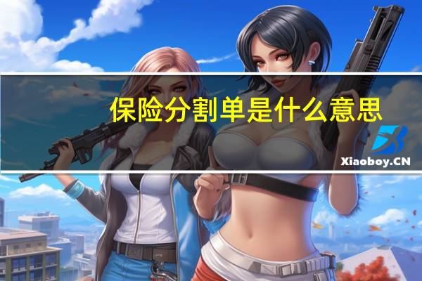 保险分割单是什么意思