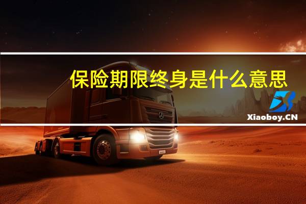 保险期限终身是什么意思