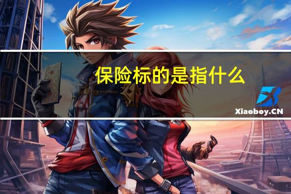 保险标的是指什么