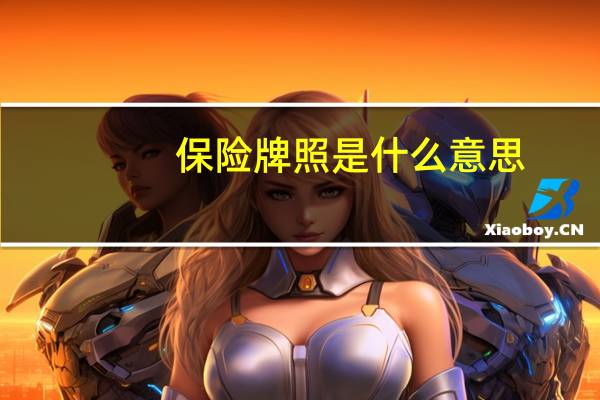 保险牌照是什么意思