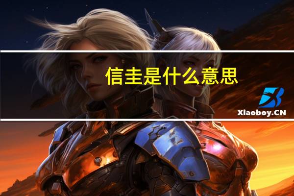 信圭是什么意思