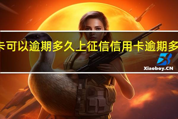 信用卡可以逾期多久上征信信用卡逾期多久会被起诉