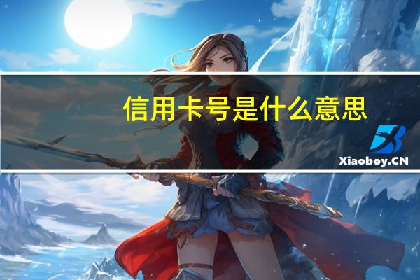 信用卡号是什么意思
