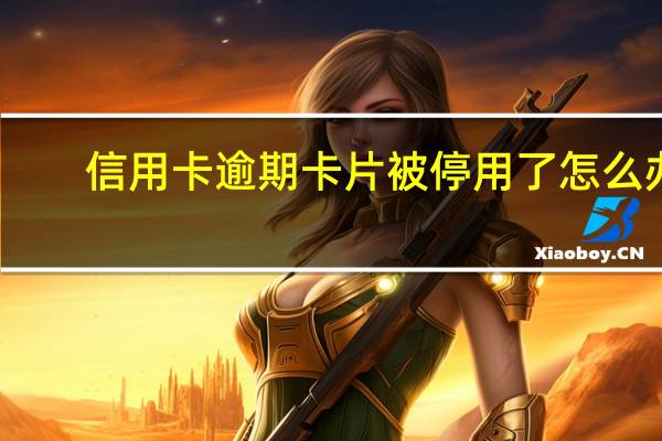信用卡逾期卡片被停用了怎么办