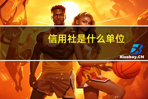 信用社是什么单位