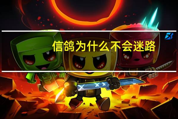信鸽为什么不会迷路