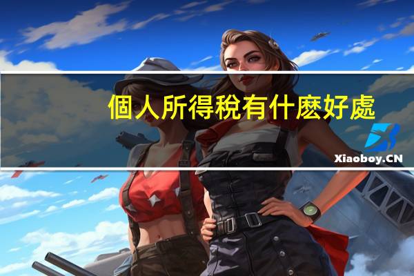 個人所得稅有什麽好處