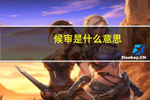 候审是什么意思