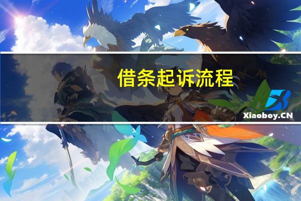 借条起诉流程