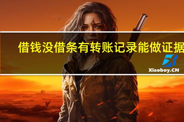 借钱没借条有转账记录能做证据吗