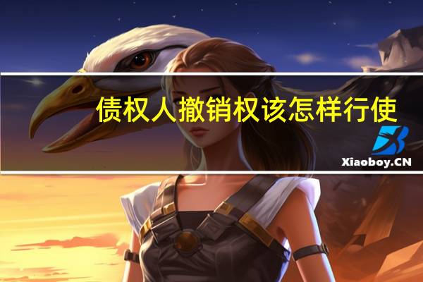 债权人撤销权该怎样行使