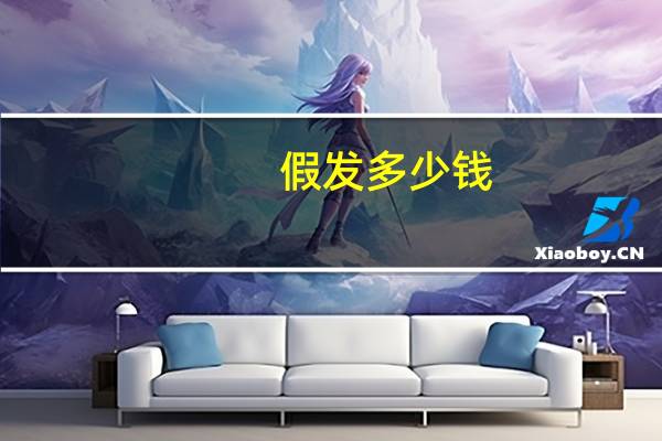 假发多少钱
