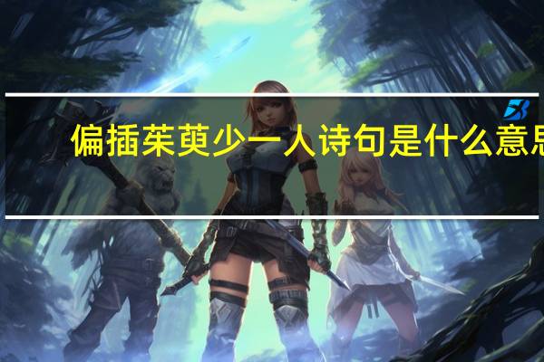 偏插茱萸少一人诗句是什么意思