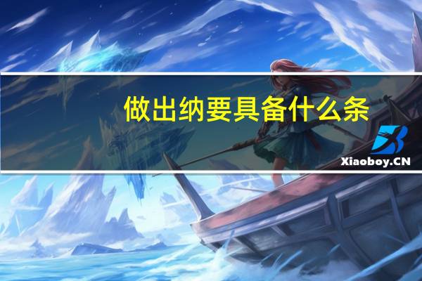 做出纳要具备什么条