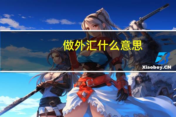 做外汇什么意思