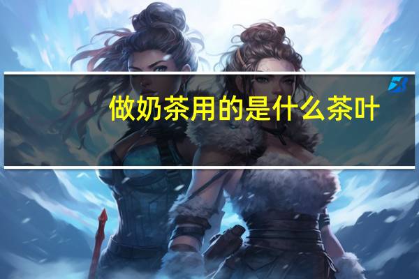 做奶茶用的是什么茶叶