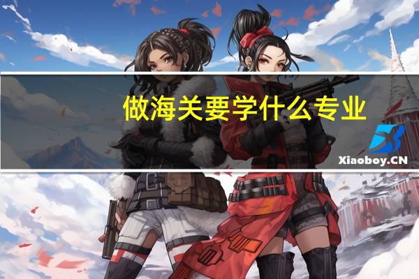 做海关要学什么专业