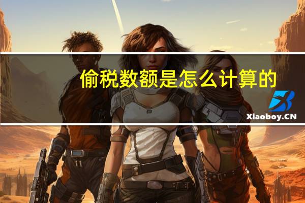偷税数额是怎么计算的