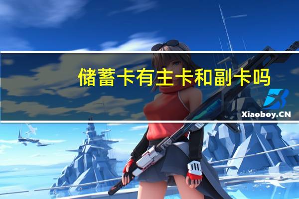 储蓄卡有主卡和副卡吗