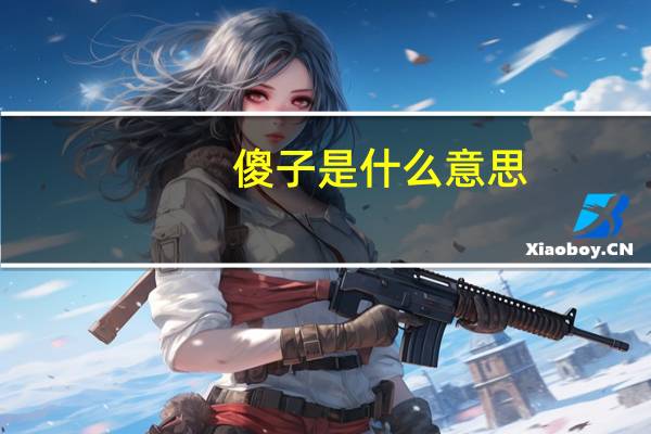 傻子是什么意思