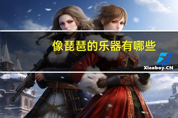 像琵琶的乐器有哪些