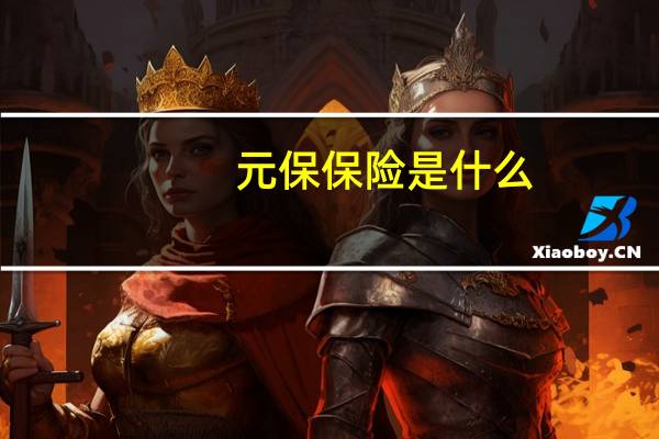 元保保险是什么