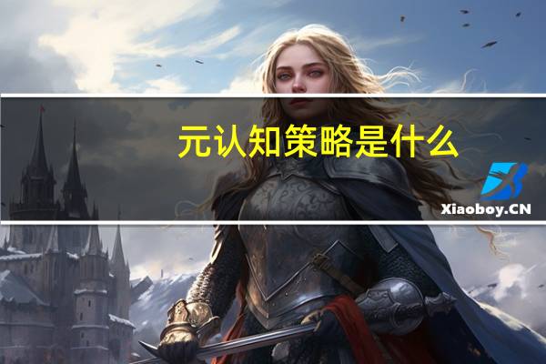 元认知策略是什么