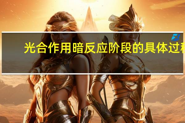 光合作用暗反应阶段的具体过程