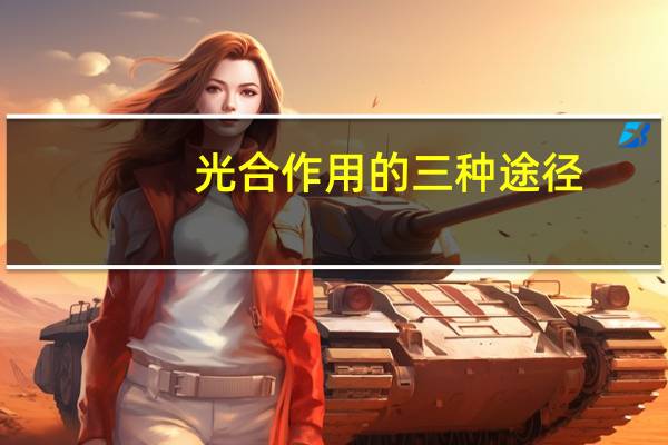 光合作用的三种途径
