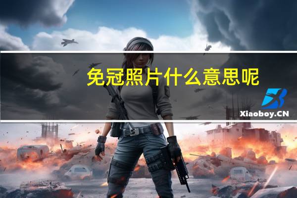 免冠照片什么意思呢