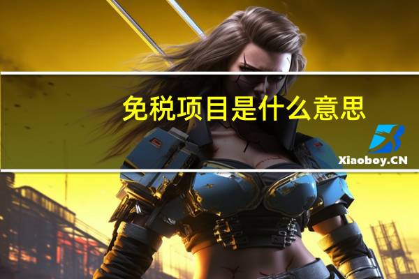 免税项目是什么意思
