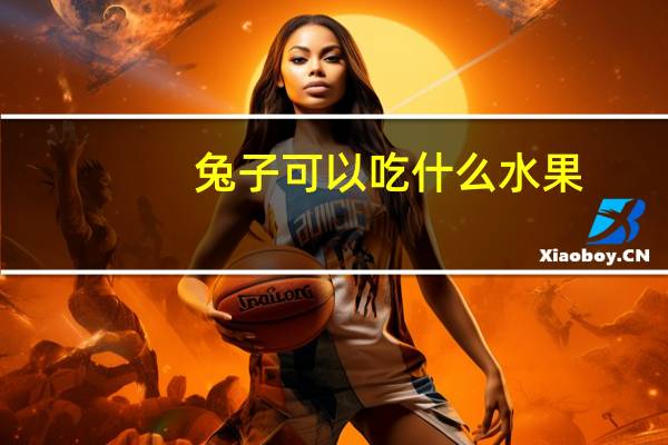 兔子可以吃什么水果