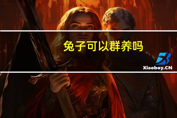 兔子可以群养吗